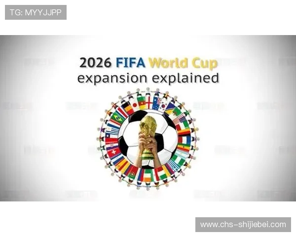 申办世界杯的评审标准与评选流程详尽介绍