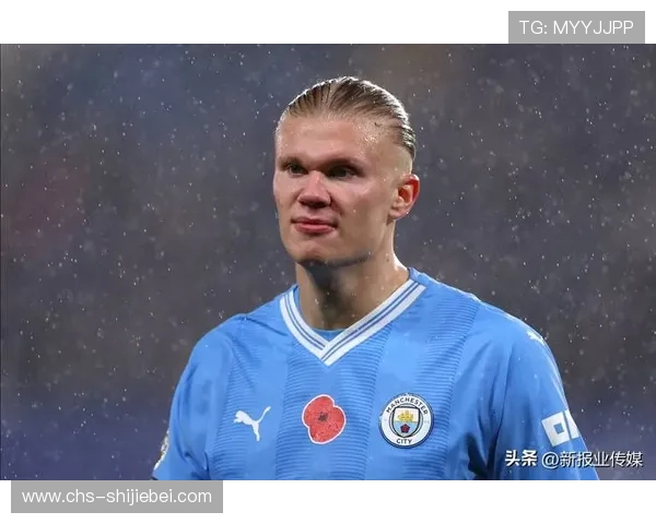 深入分析世界杯历史个人进球榜，揭示各位顶级射手的精彩表现